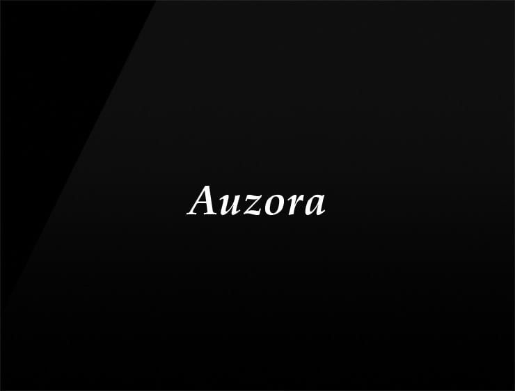 Auzora preview catchy business names