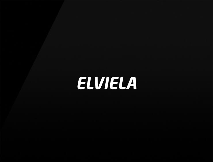 Elviela preview cool company names