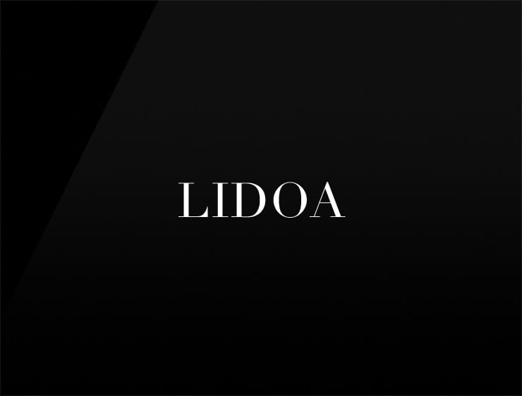 Lidoa preview real estate company names