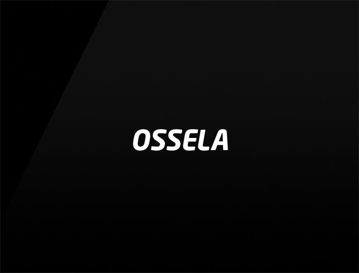 Ossela preview name for online business