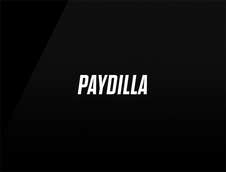 Paydilla preview name for online business