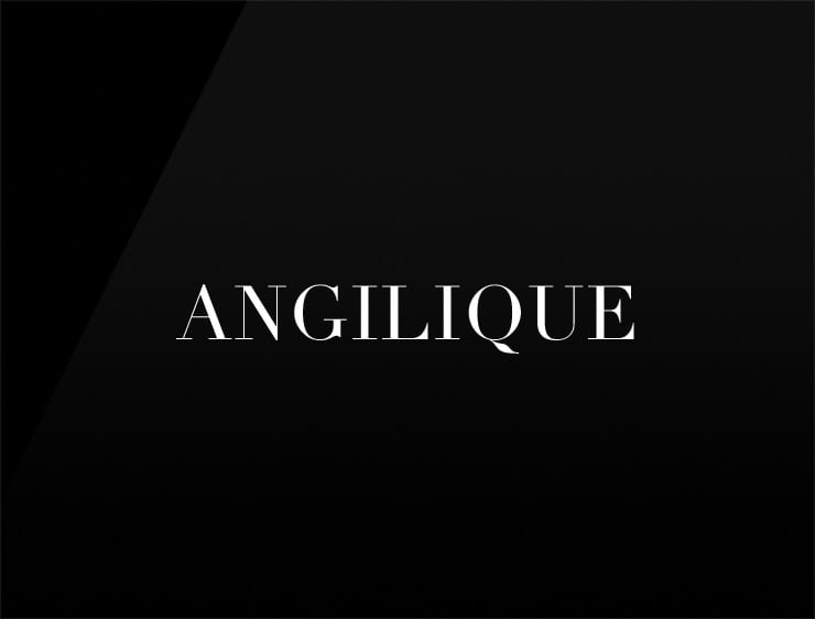 Angilique preview catchy business names
