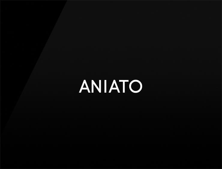 Aniato preview catchy business names