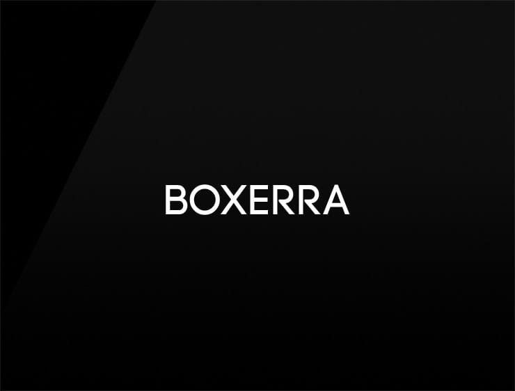 Boxerra Preview unique names for business
