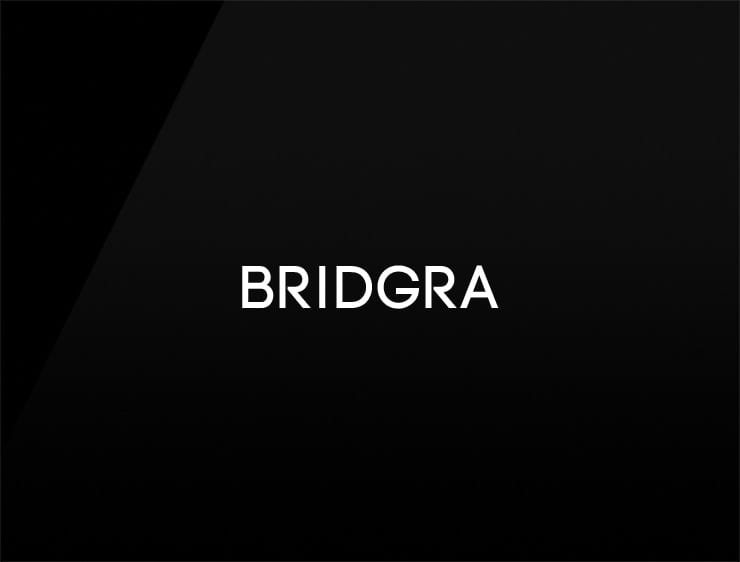 Bridgra Preview unique names for business