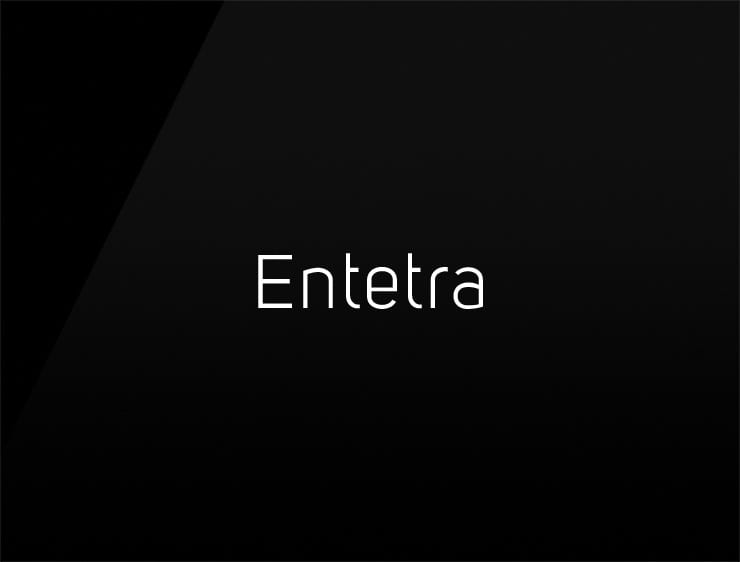 Entetra preview cool company names