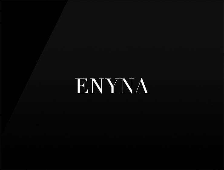 Enyna preview cool company names