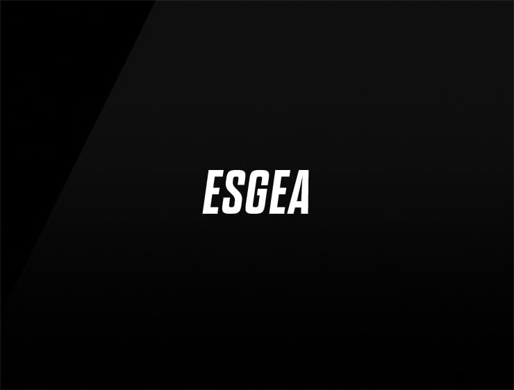 Esgea preview cool company names