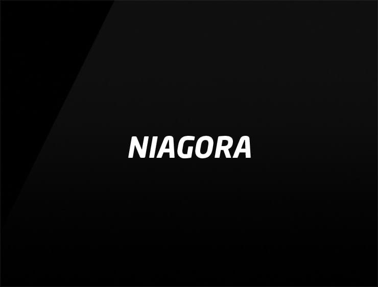 Niagora name for online business
