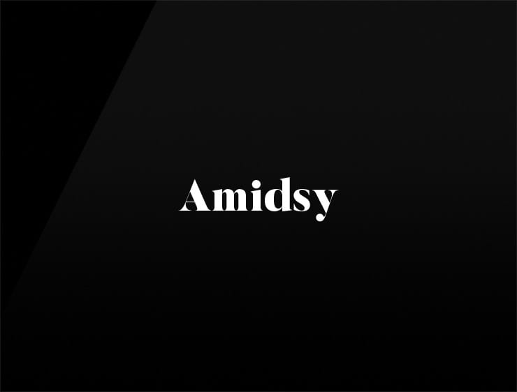 Amidsy preview brandable domain name