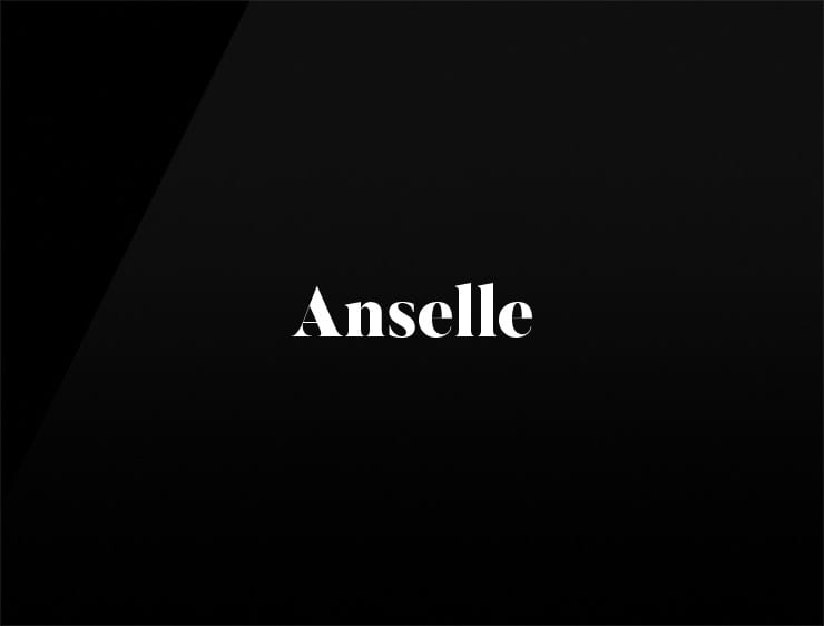 Anselle preview brandable domain name