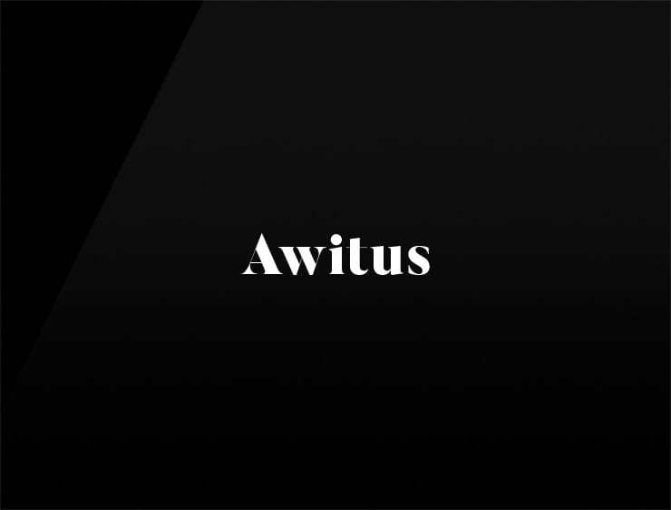 Awitus preview brandable domain name