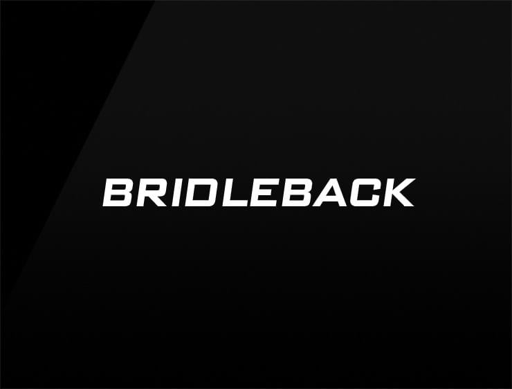 Bridleback preview domain names for sale