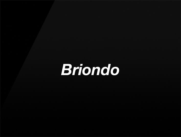 Briondo preview ecommerce name