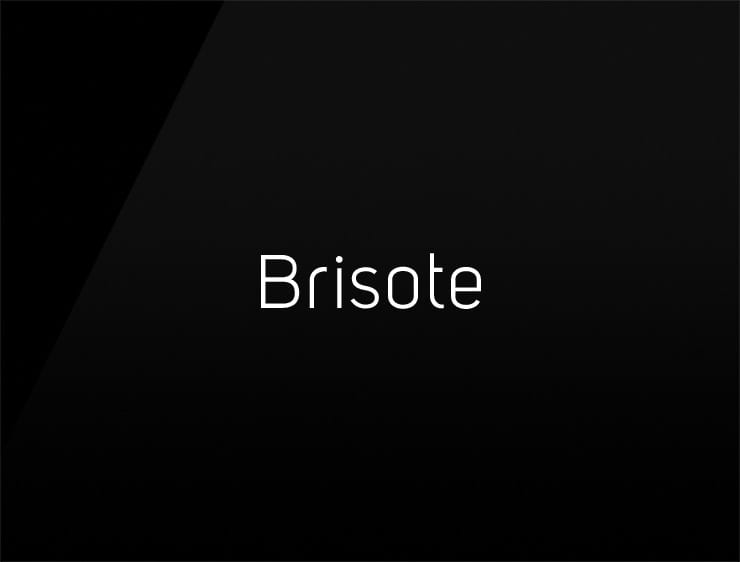 Brisote preview cool company names