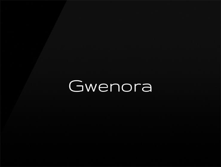 Gwenora preview startup company name