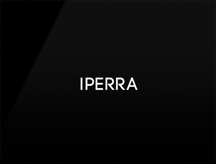 Iperra preview elegant company name