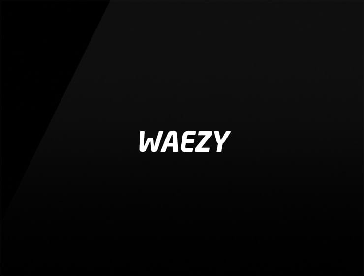 Waezy preview b2b company names