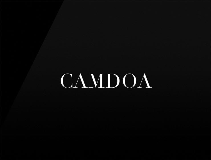 Camdoa catchy business names