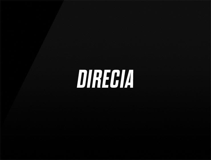 Direcia catchy business names