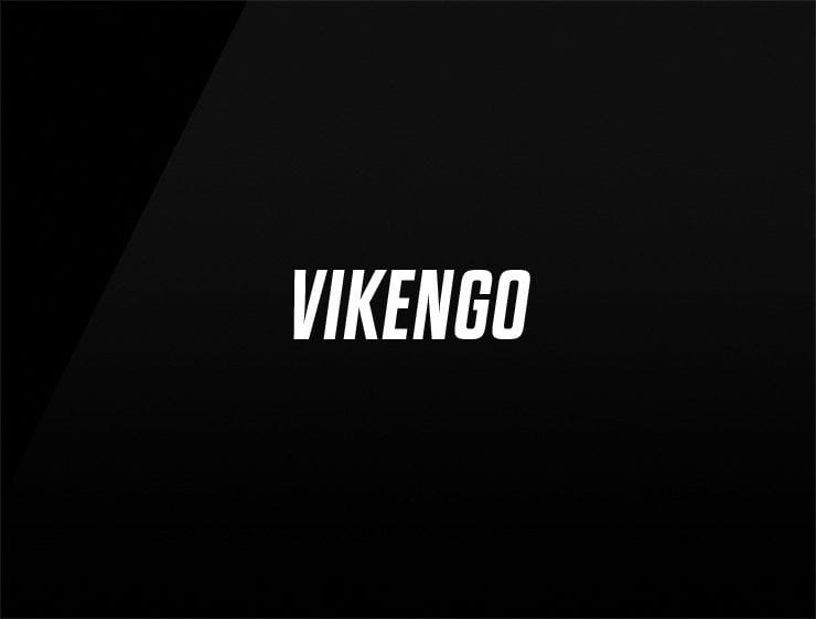 Vikengo catchy business names
