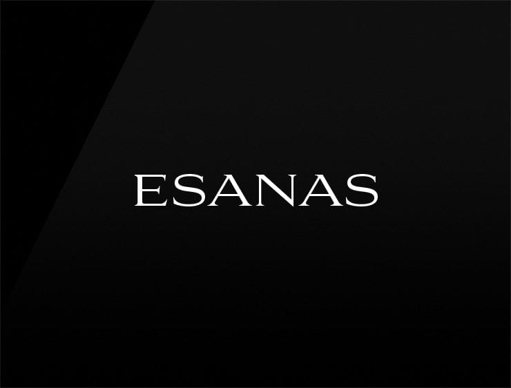 Esanas preview catchy business names