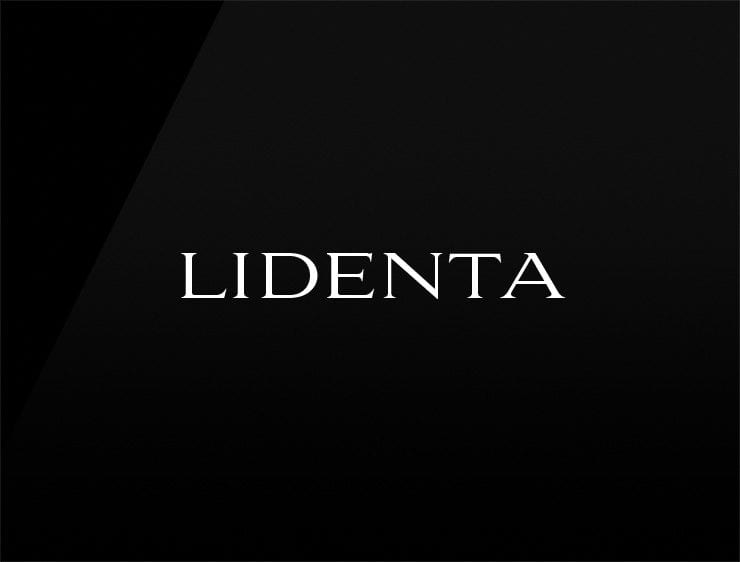 Lidenta preview cool company names