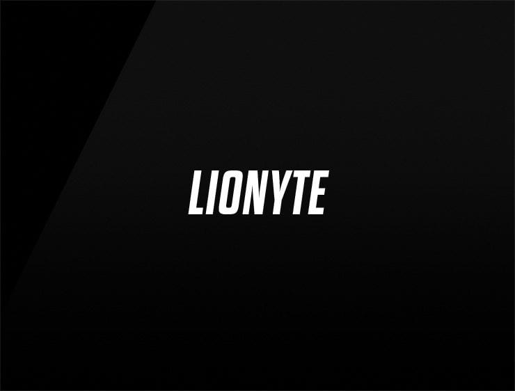 Lionyte preview cool company names
