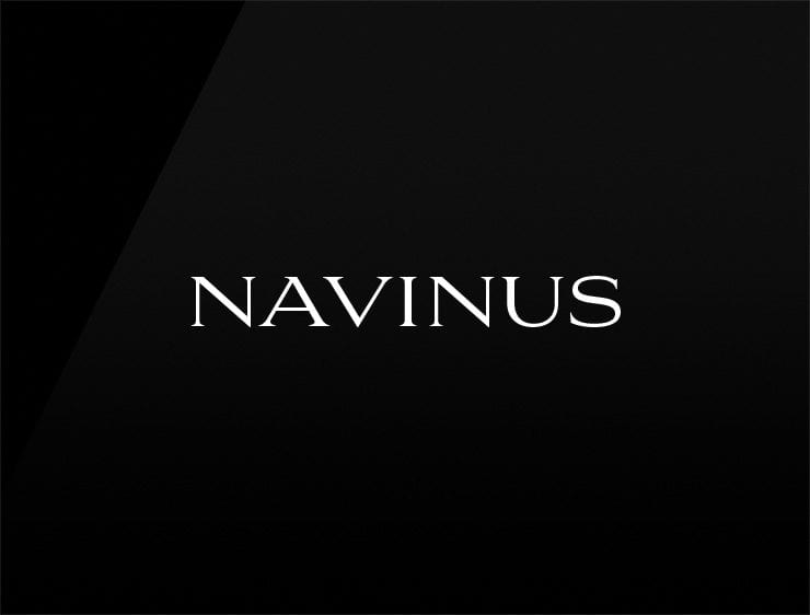 Navinus preview cool company names