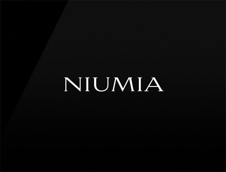 Niumia preview cool company names