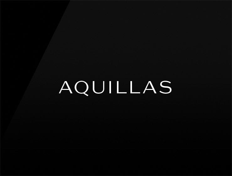Aquillas preview cool company names