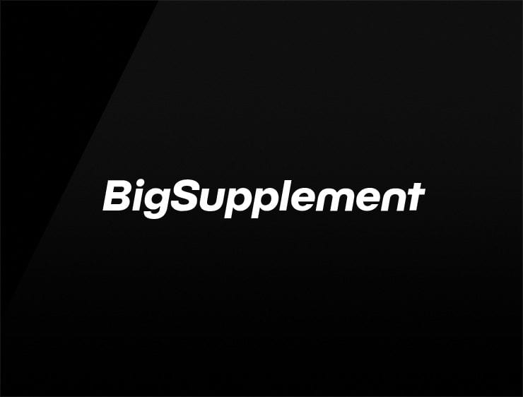 BigSupplement preview catchy business names