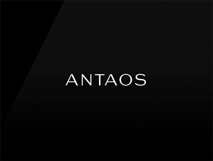 Antaos preview cool company names