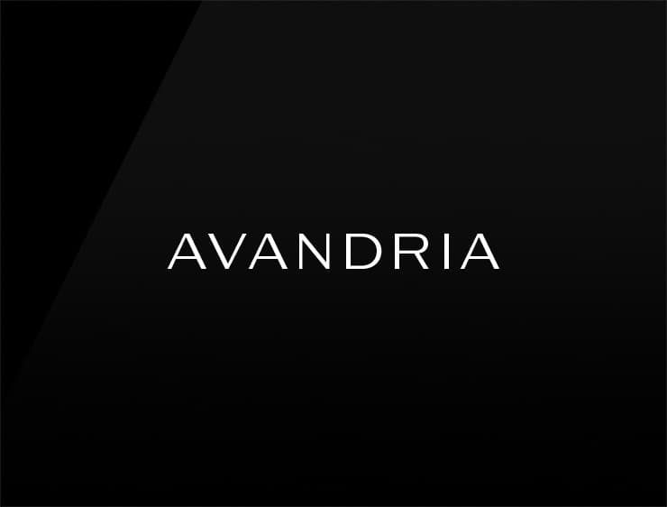 Avandria preview cool company names