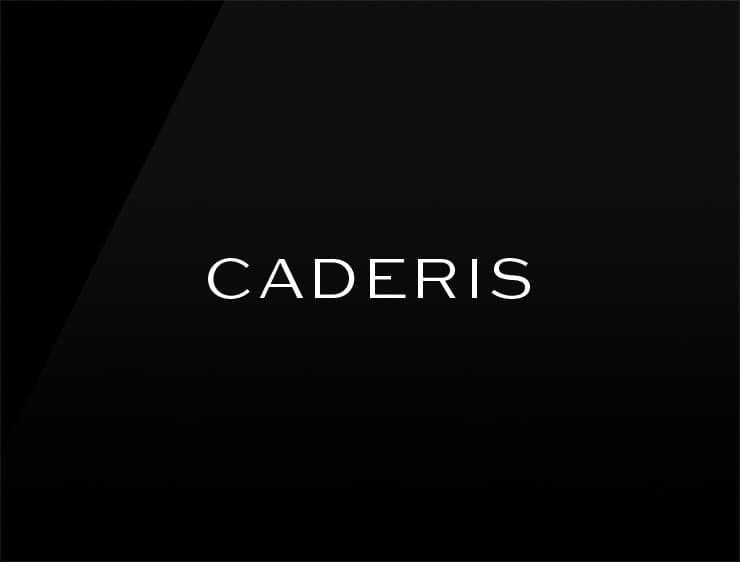 Caderis preview catchy business names