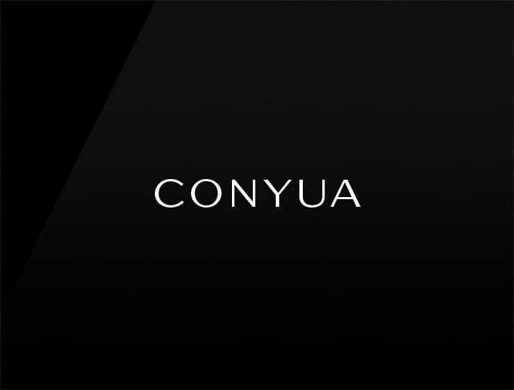 Conyua preview startup names
