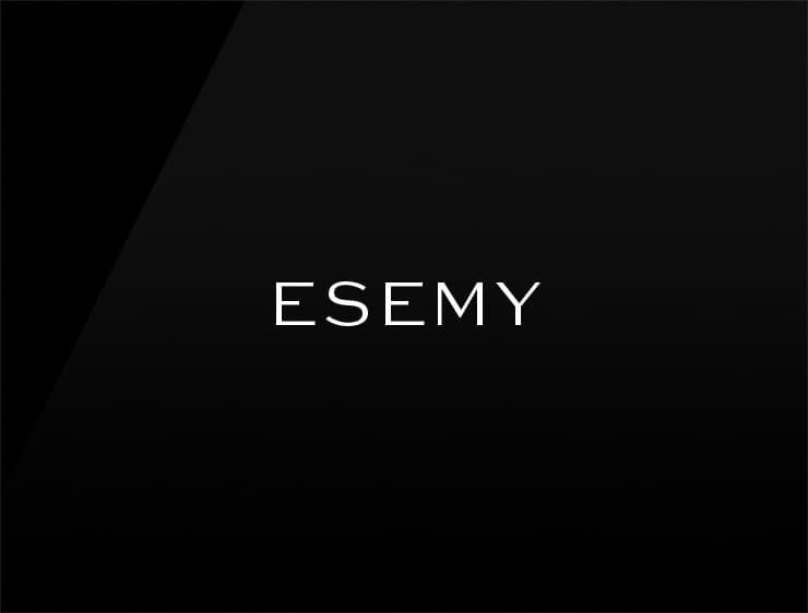 Esemy preview startup names