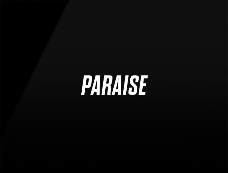 Paraise preview name for ecommerce