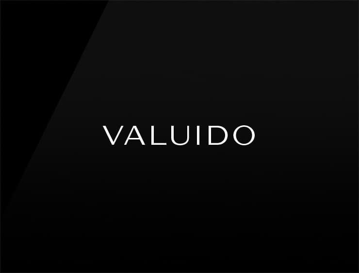 Valuido preview name for online business