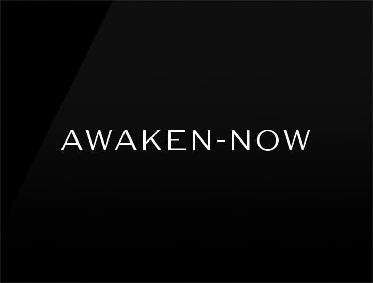 Awaken Now product img
